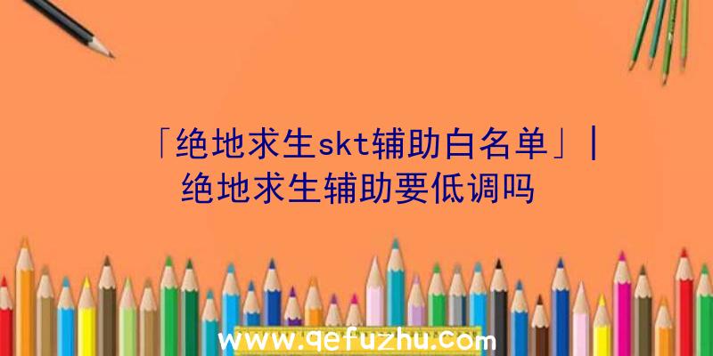 「绝地求生skt辅助白名单」|绝地求生辅助要低调吗